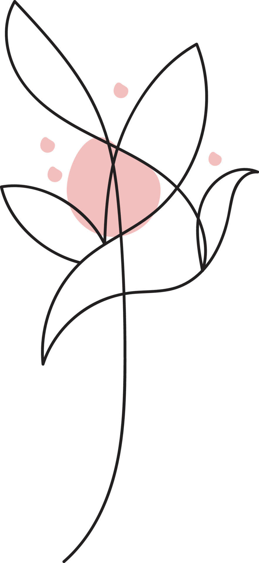 flower art design 14953683 Vector Art at Vecteezy