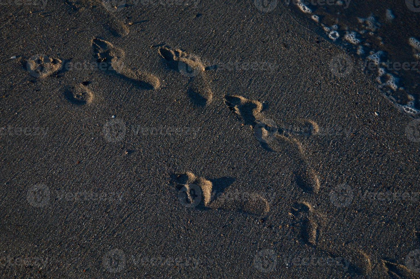 Footsteps in the sand on the beach, sandy beach, sea waves. photo