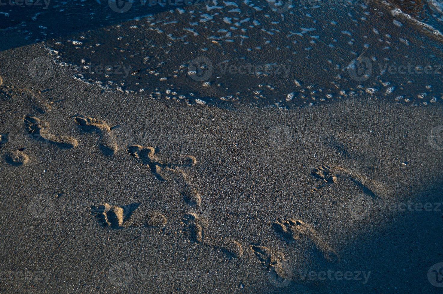 Footsteps in the sand on the beach, sandy beach, sea waves. photo