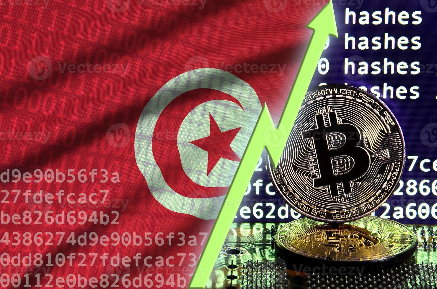 Tunisia flag and rising green arrow on bitcoin mining screen and two physical golden bitcoins photo