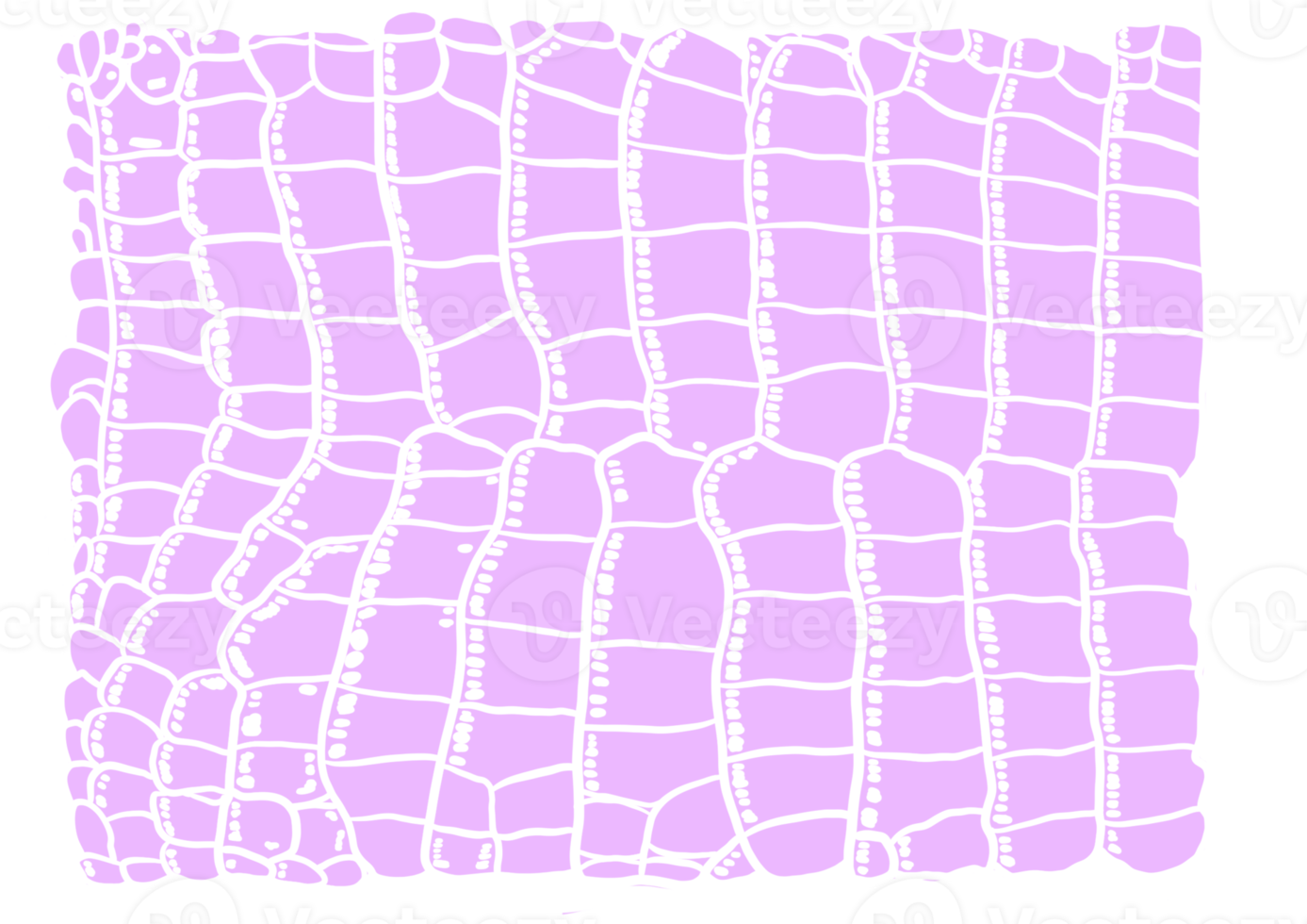 motif alligator violet png