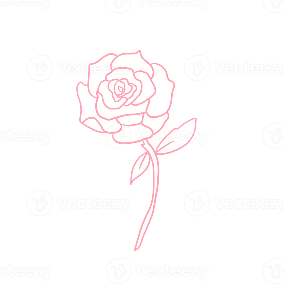 Pink Rose Outlined png