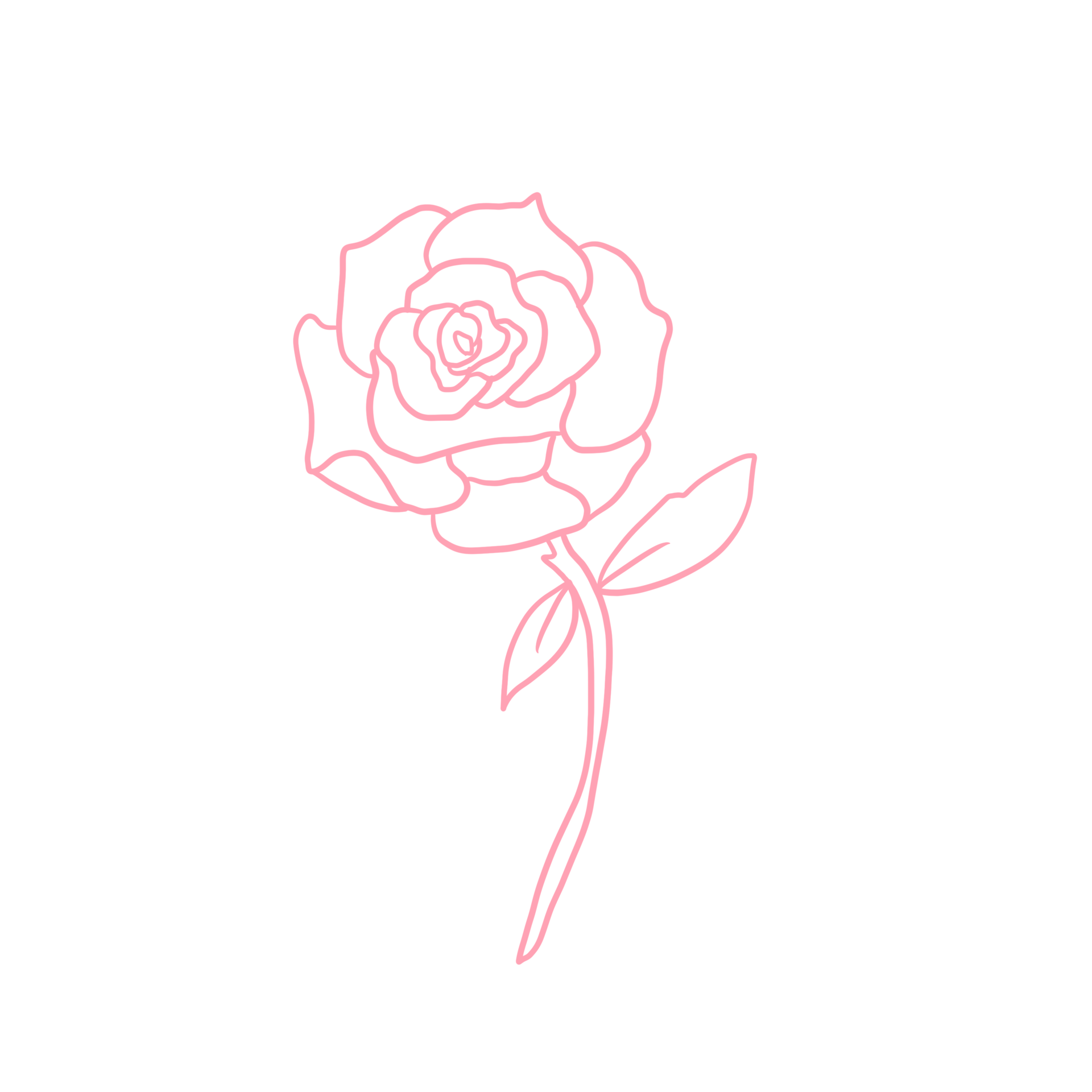 Pink Rose Outlined 14967510 PNG