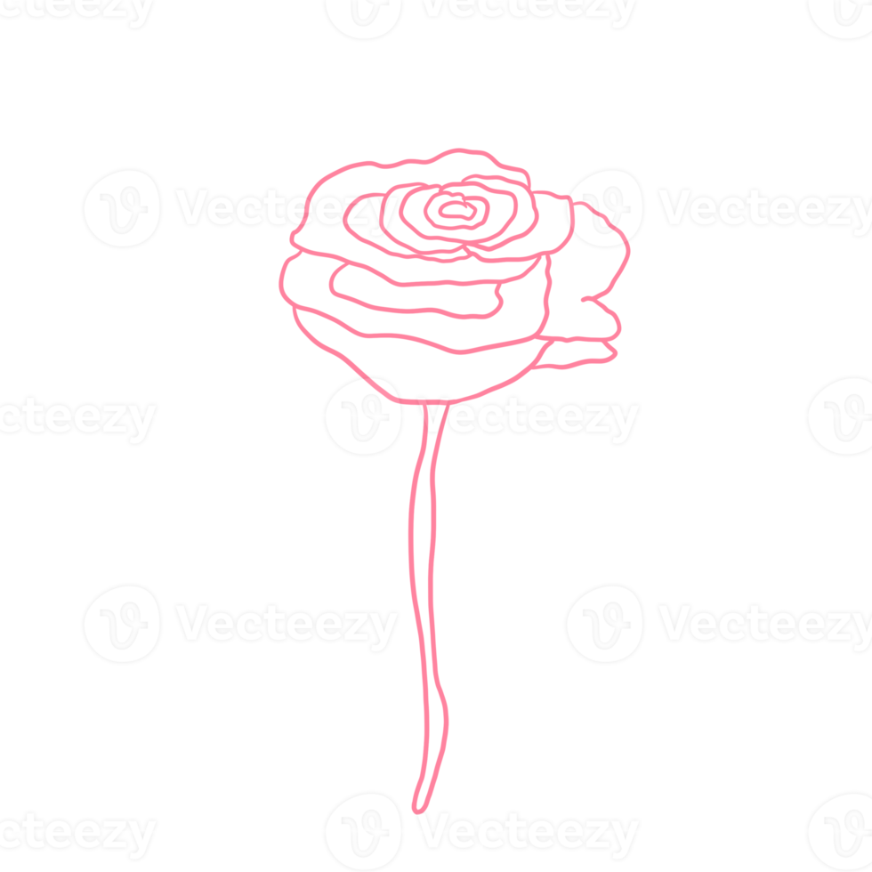 Pink Rose Outlined png