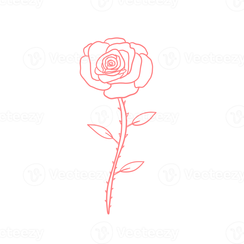 Pink Rose Outlined png