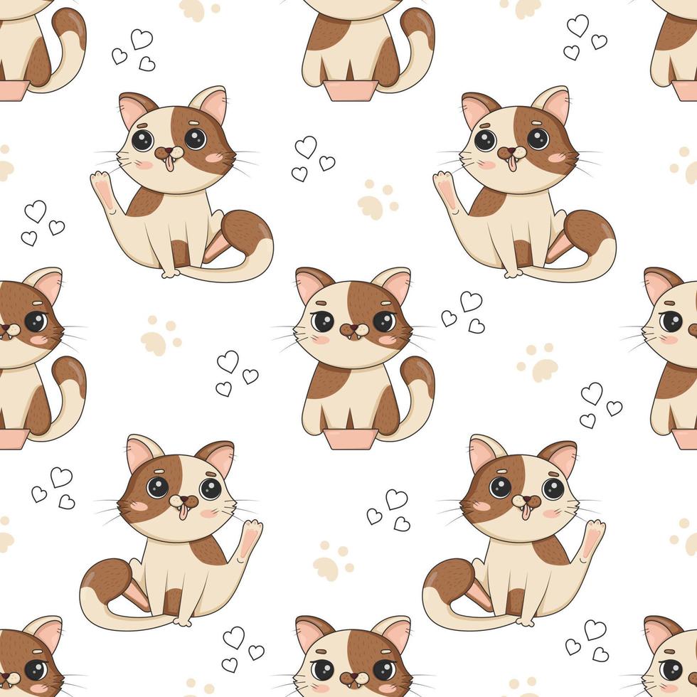 Seamless pattern with cute cartoon cats in funny poses sit in small boxes and wash their faces for children's room decor vector