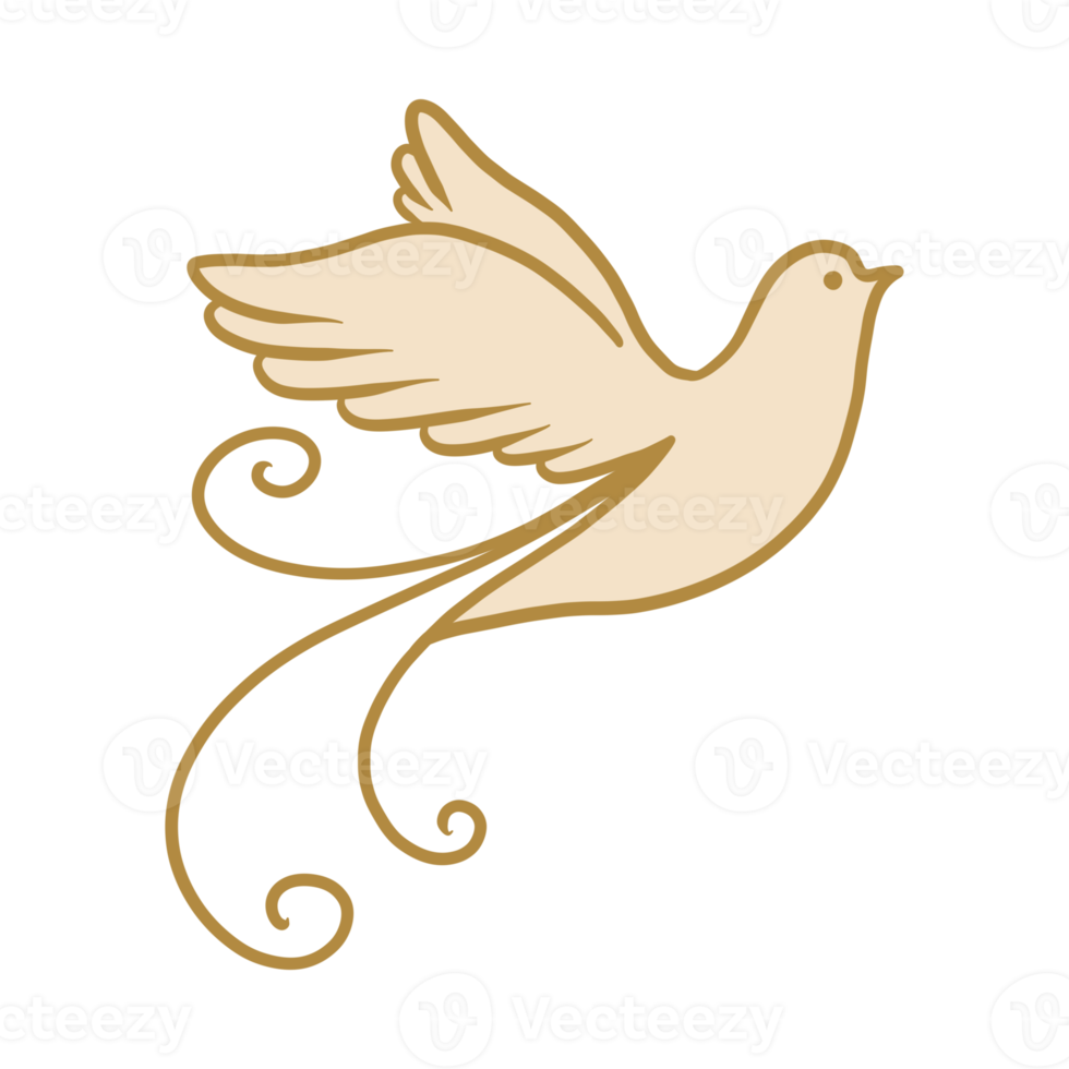 Elegant Pigeon Hand Drawn png