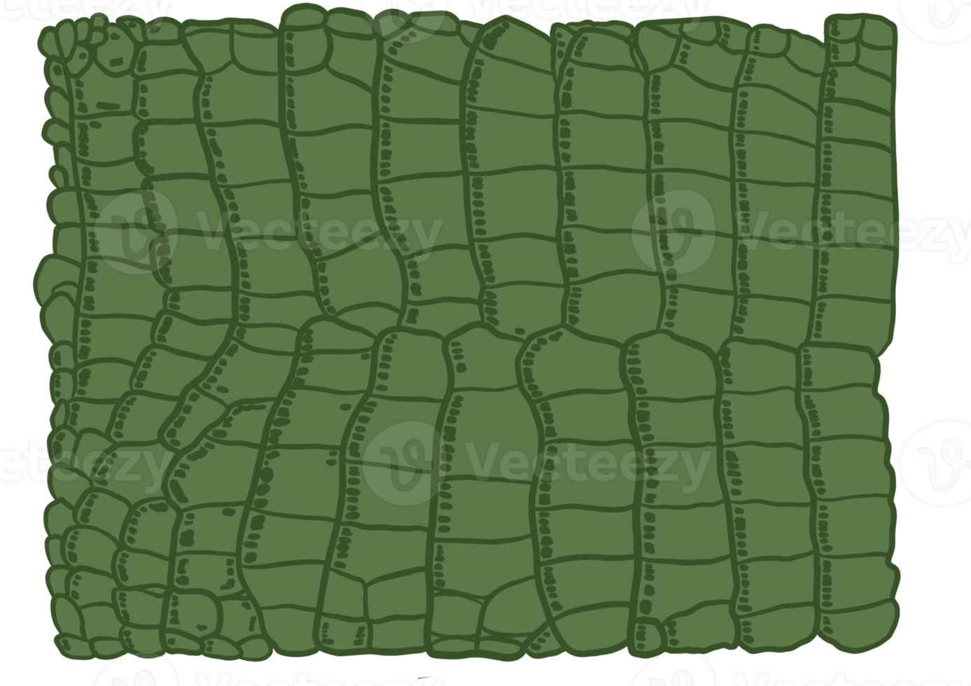 motif alligator vert png