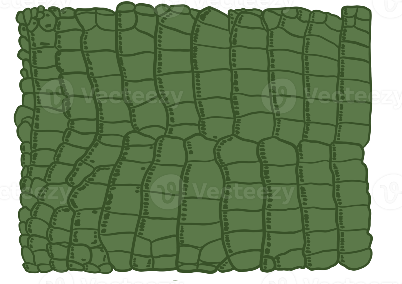 verde aligator modello png