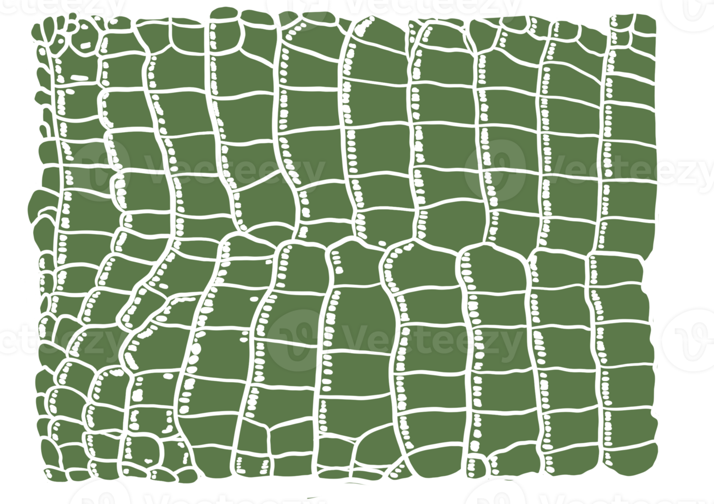 grön aligator mönster png