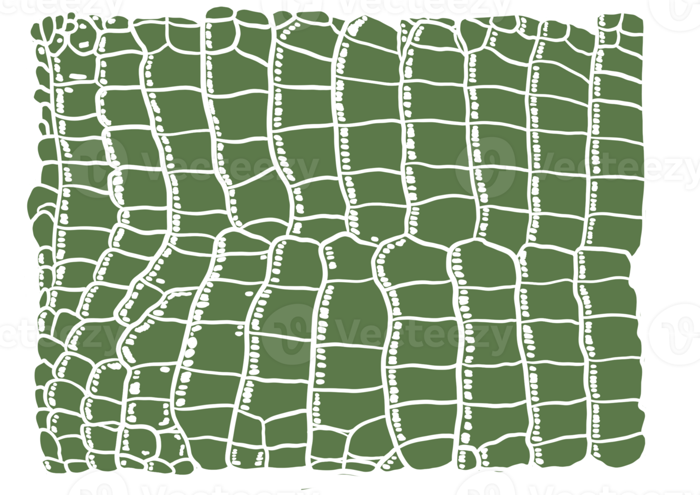 Green Aligator Pattern png