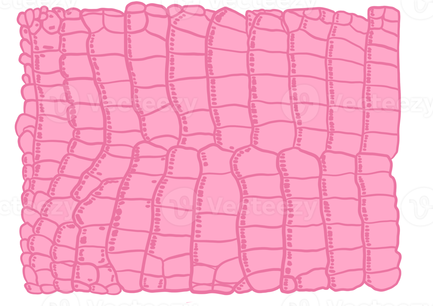 Pink Aligator Pattern png