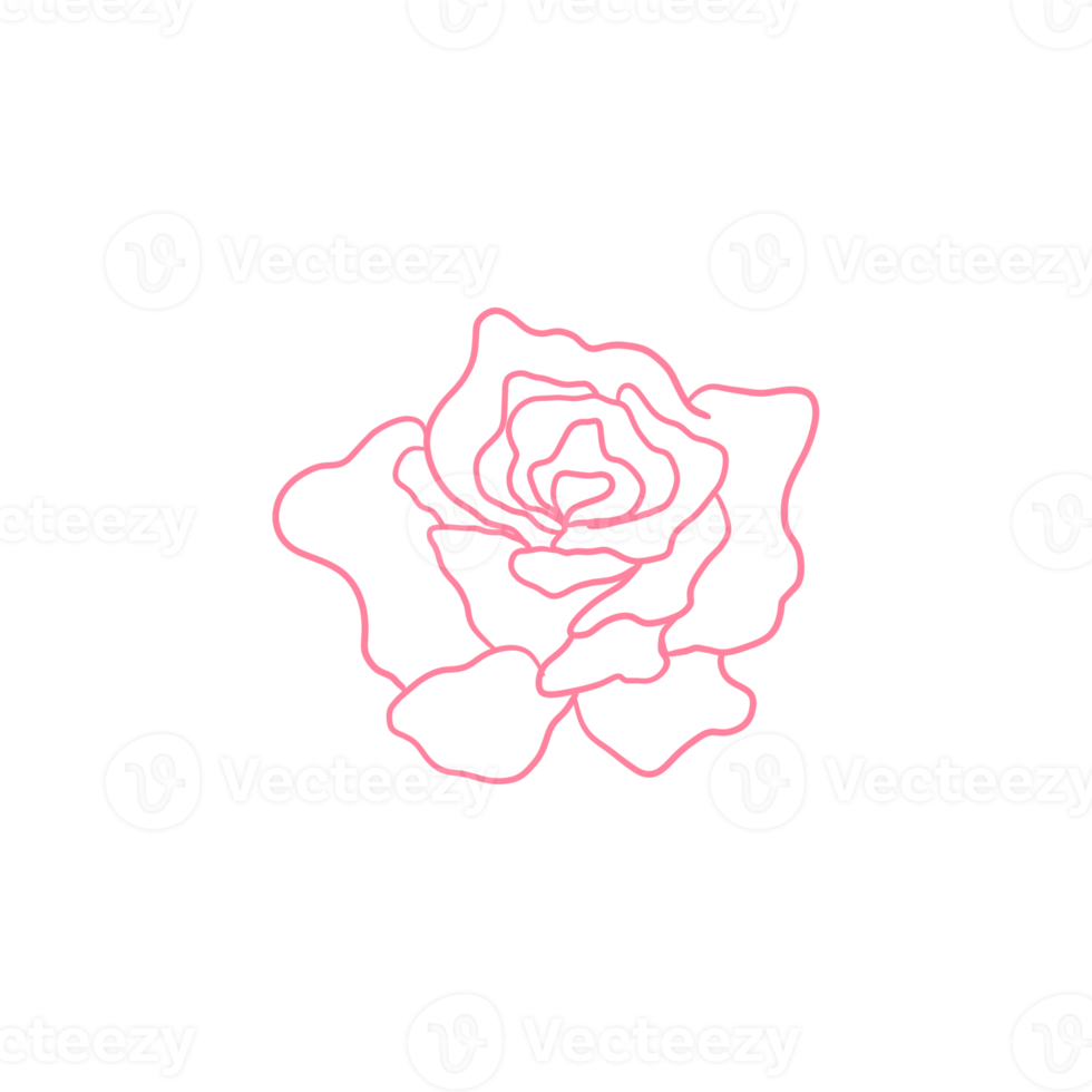 Pink Rose Outlined png