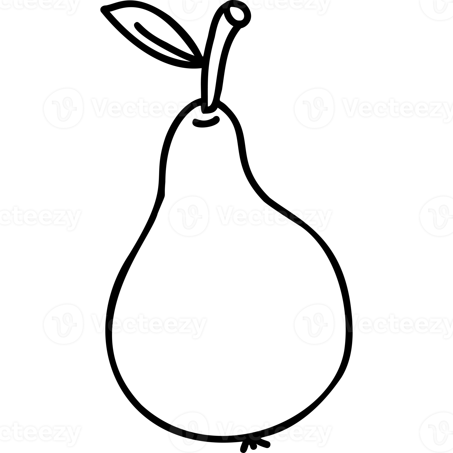 Fruit. Pear. line drawing 14968727 PNG