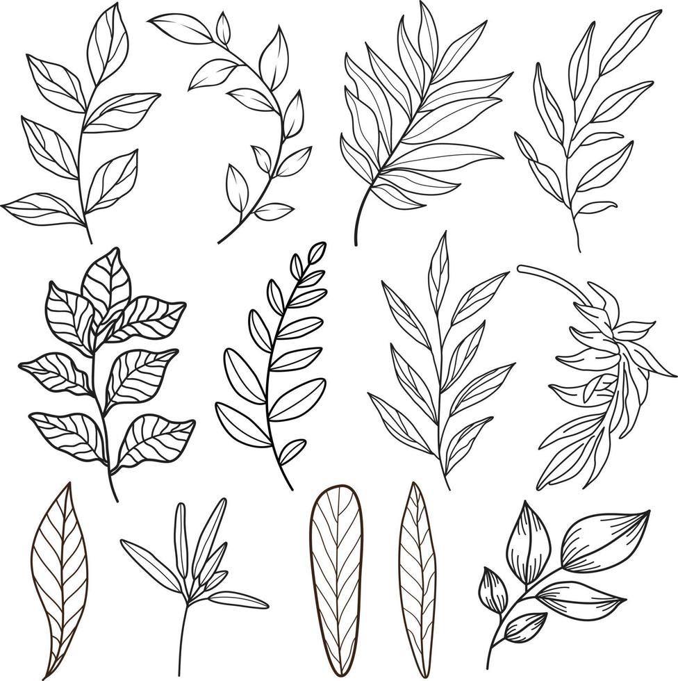 line drawing vector leaf.Abstract leaf Art design for print, cover, wallpaper, Minimal and natural wall art. Vector illustration.