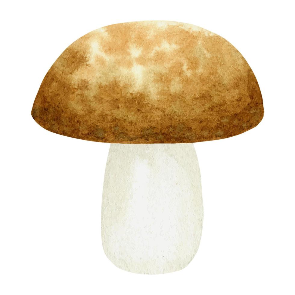 Watercolor one white white mushroom, hand-drawn vector