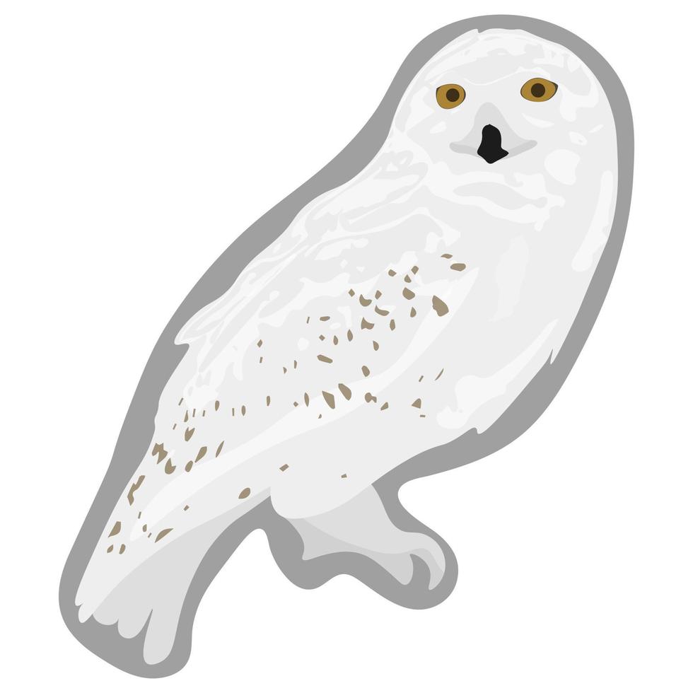 Owl in white backgraund. Vector illustration