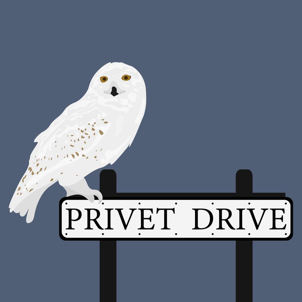 Owl on the Privet Drive sign. Vector illustration