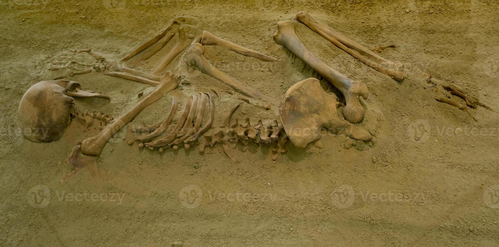 Boljetin, Serbia, 2021 - Skeletal remains from Museum of Lepenski Vir in Serbia. Lepenski Vir is the oldest planned settlement in Europe. photo