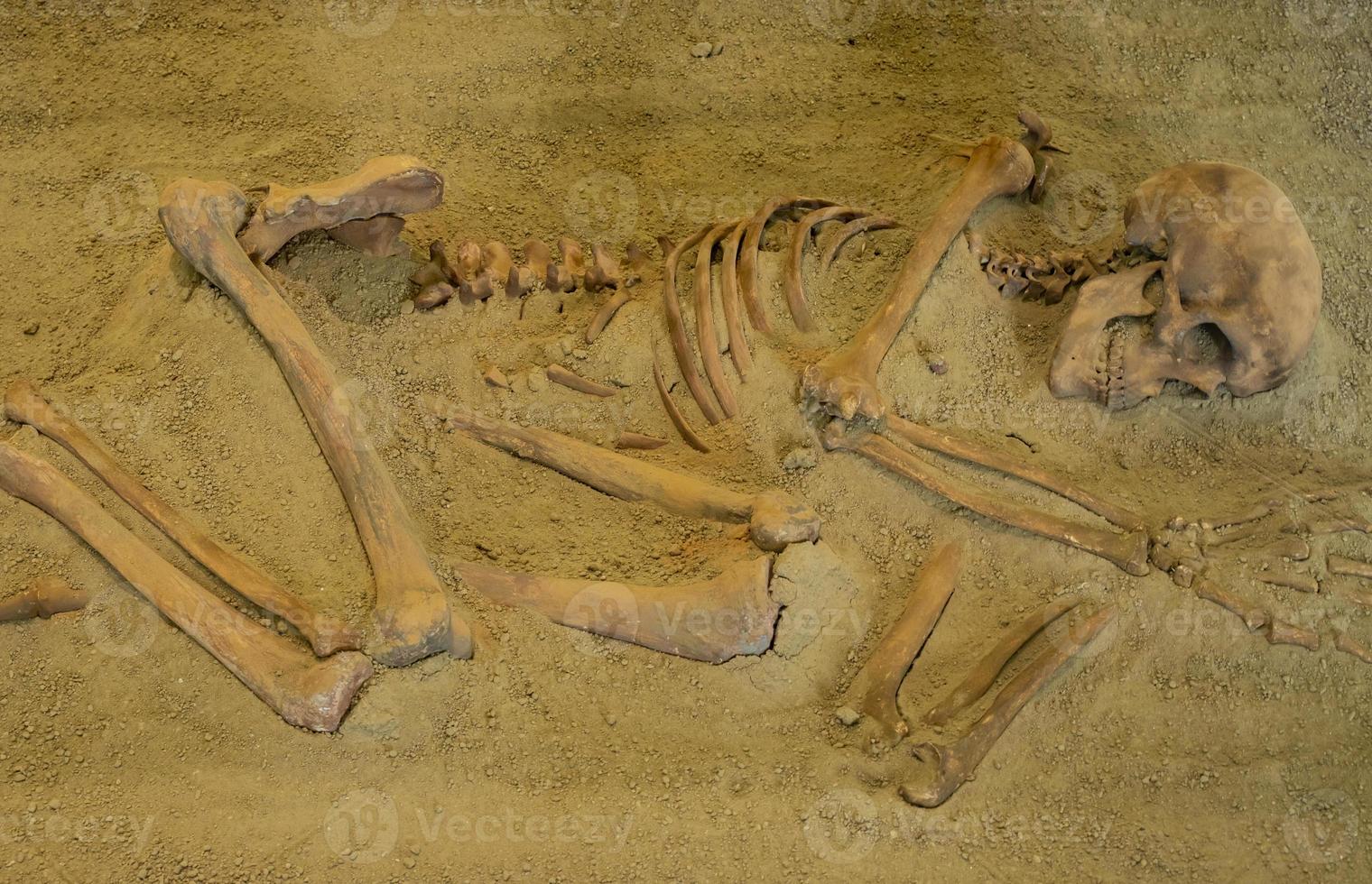 Boljetin, Serbia, 2021 - Skeletal remains from Museum of Lepenski Vir in Serbia. Lepenski Vir is the oldest planned settlement in Europe. photo