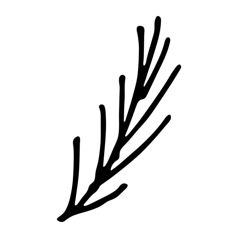 Hand drawn spruce branch clipart. Twig of coniferous tree doodle. Christmas and winter design element vector