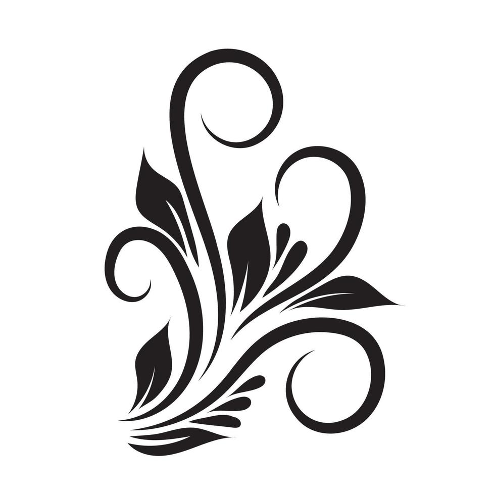 Vector of swirl elements for design. Calligraphic vignette. 14974905 ...