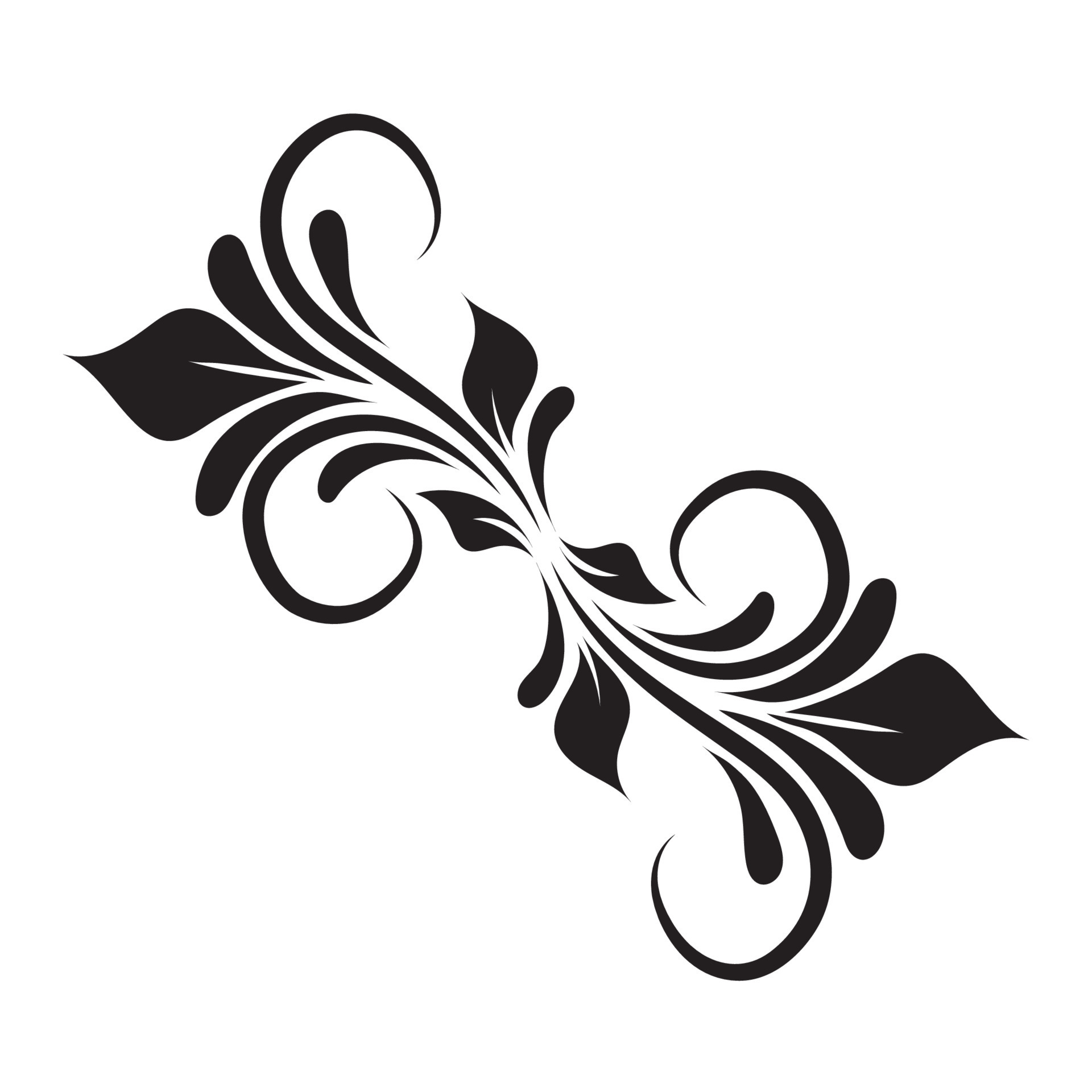 Vector Of Swirl Elements For Design Calligraphic Vignette 14974983 Vector Of Swirl Elements For Design Calligraphic Vignette 14974983