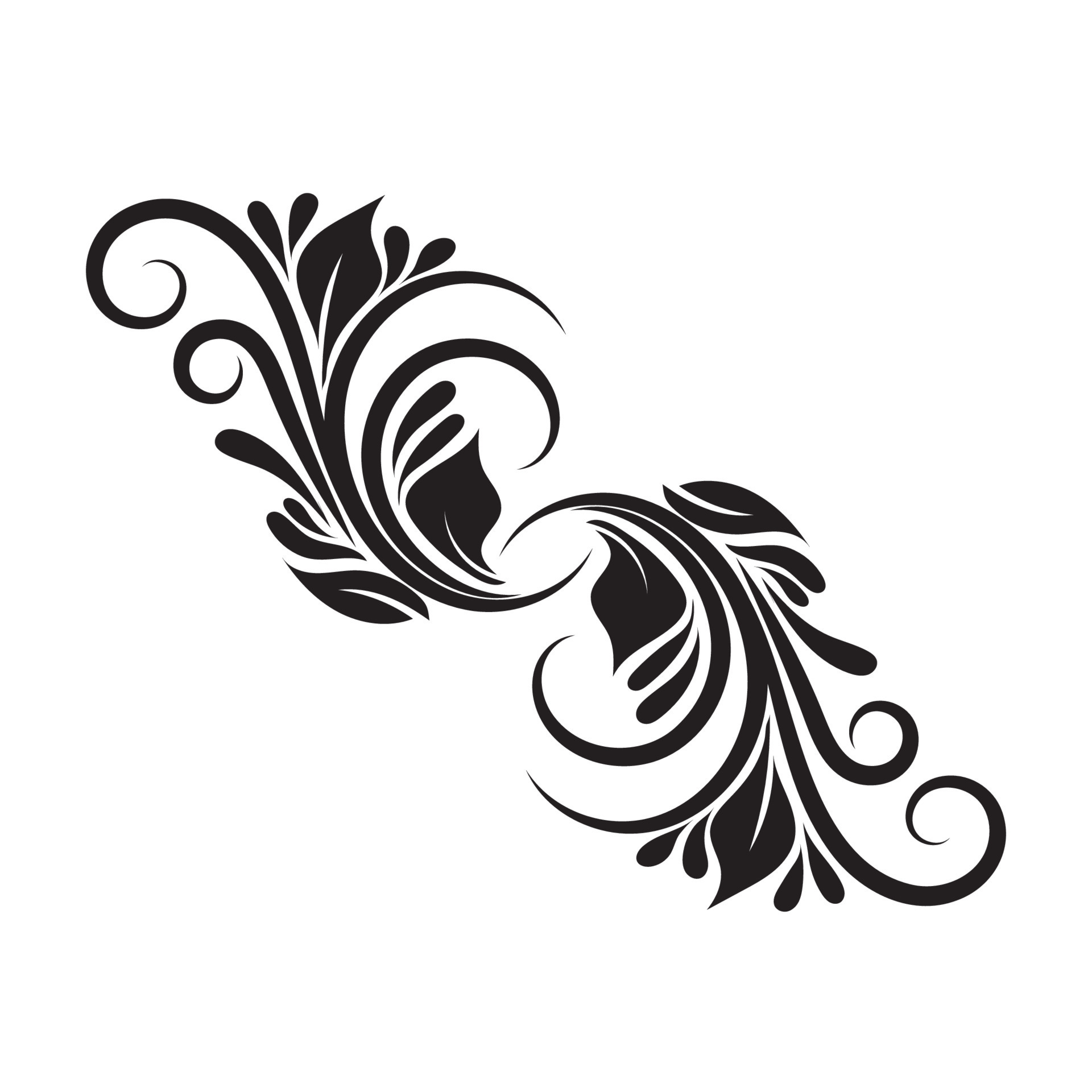 Vector Of Swirl Elements For Design Calligraphic Vignette 14974997 Vector Of Swirl Elements For Design Calligraphic Vignette 14974997