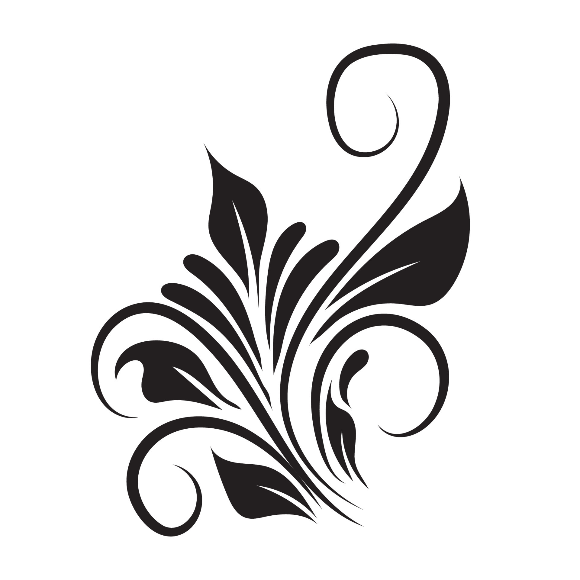 Vector Of Swirl Elements For Design Calligraphic Vignette 14975088 Vector Of Swirl Elements For Design Calligraphic Vignette 14975088