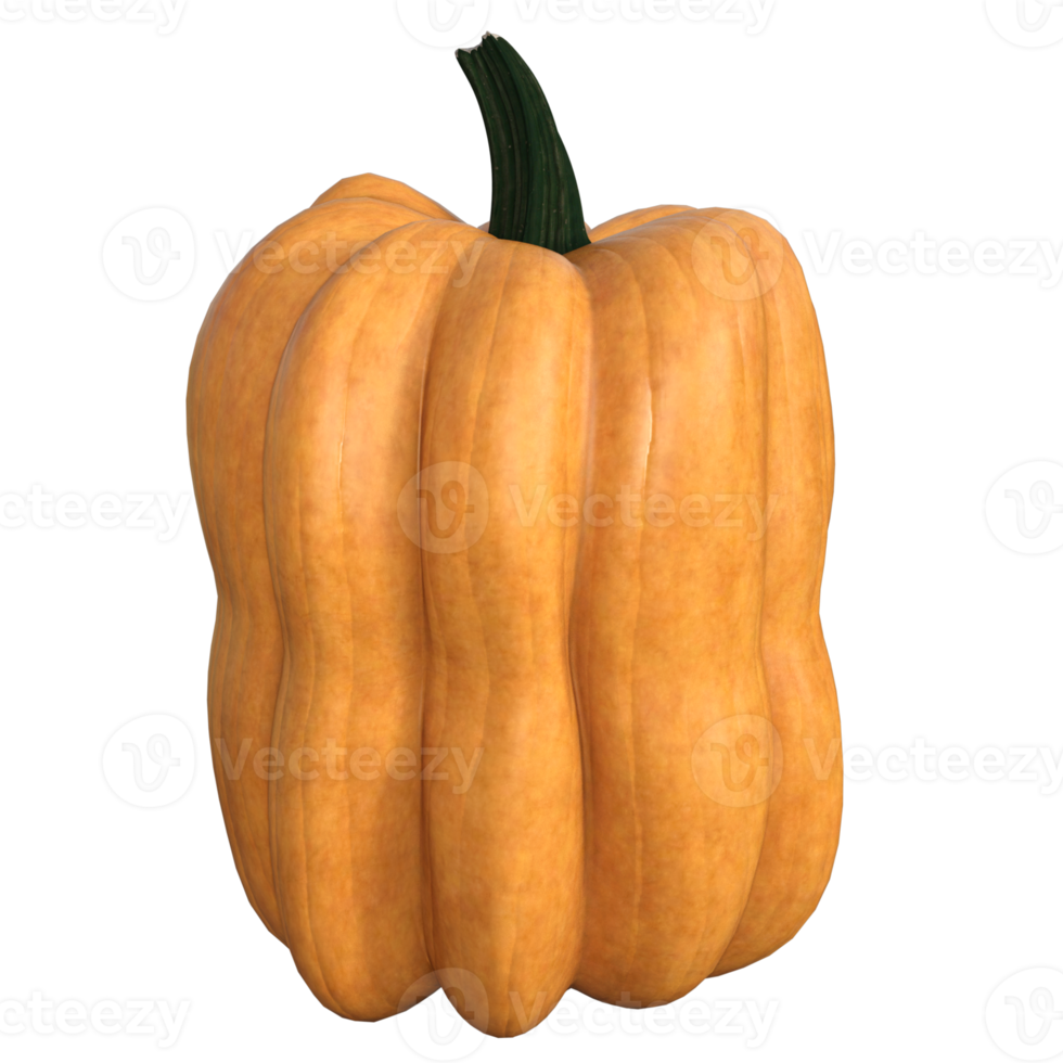 fresh pumpkin isolated png