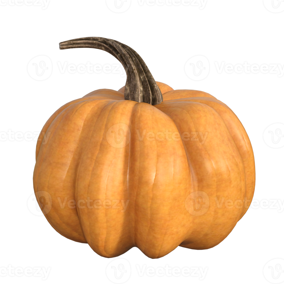 fresh pumpkin isolated png