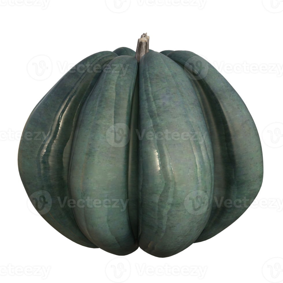 fresh pumpkin isolated png