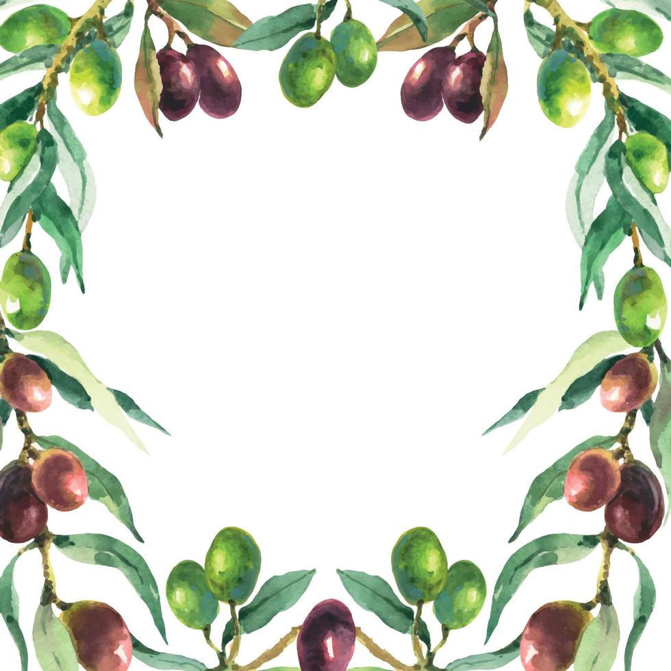 watercolor contour color black and green olive plant border frame square card on white for your text vector