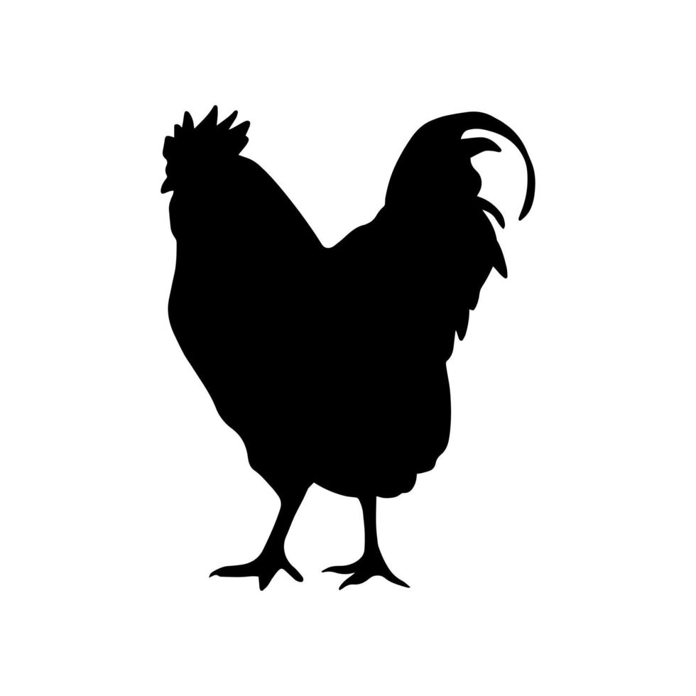gallo icono gráfico de contorno simple aislado sobre fondo blanco. elemento de diseño del logotipo de aves de granja. silueta negra en estilo de arte lineal. vector