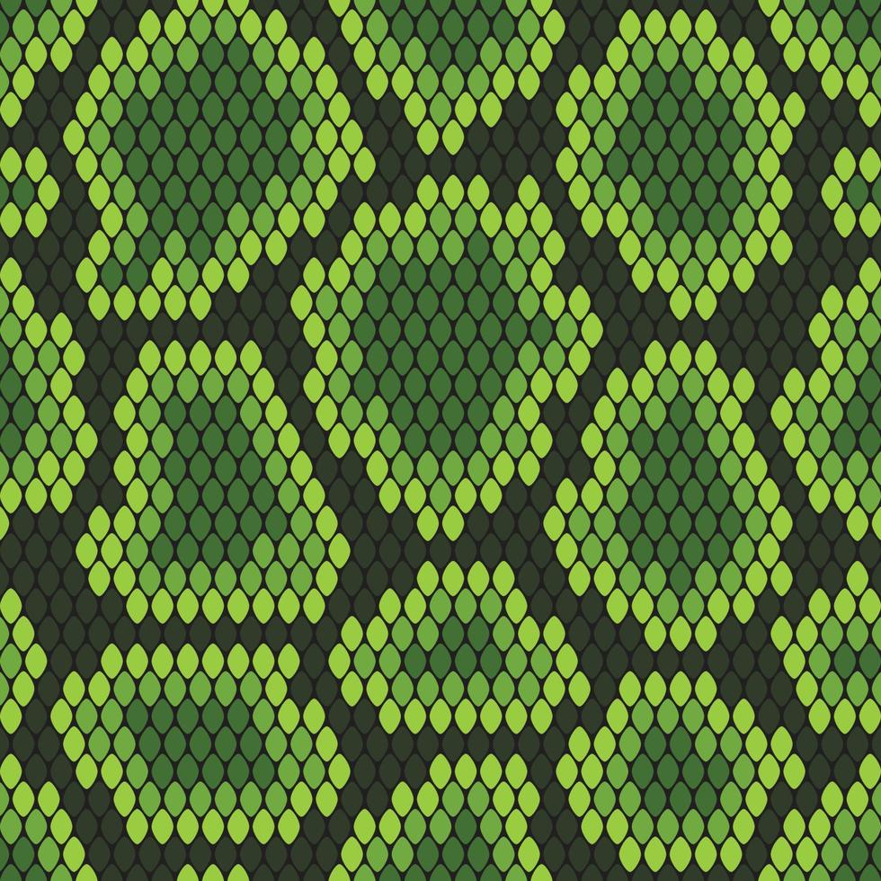 Fondo transparente de piel de serpiente verde vector