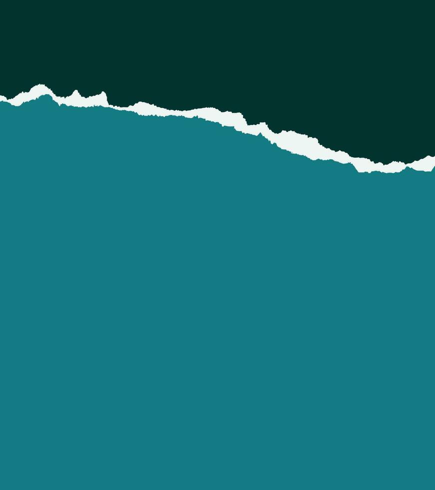 Realistic torn ripped paper vector