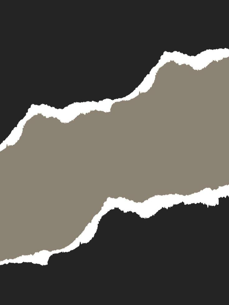 Texture torn Paper vector