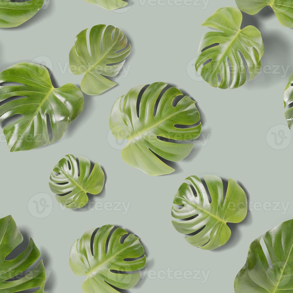 Seamless pattern with monstera leaves on green background. Green tropical jungle monstera leaves with shadows. Swiss Cheese plant. Set of realistic leaves. Top view. Trendy plant. 3d rendering. photo