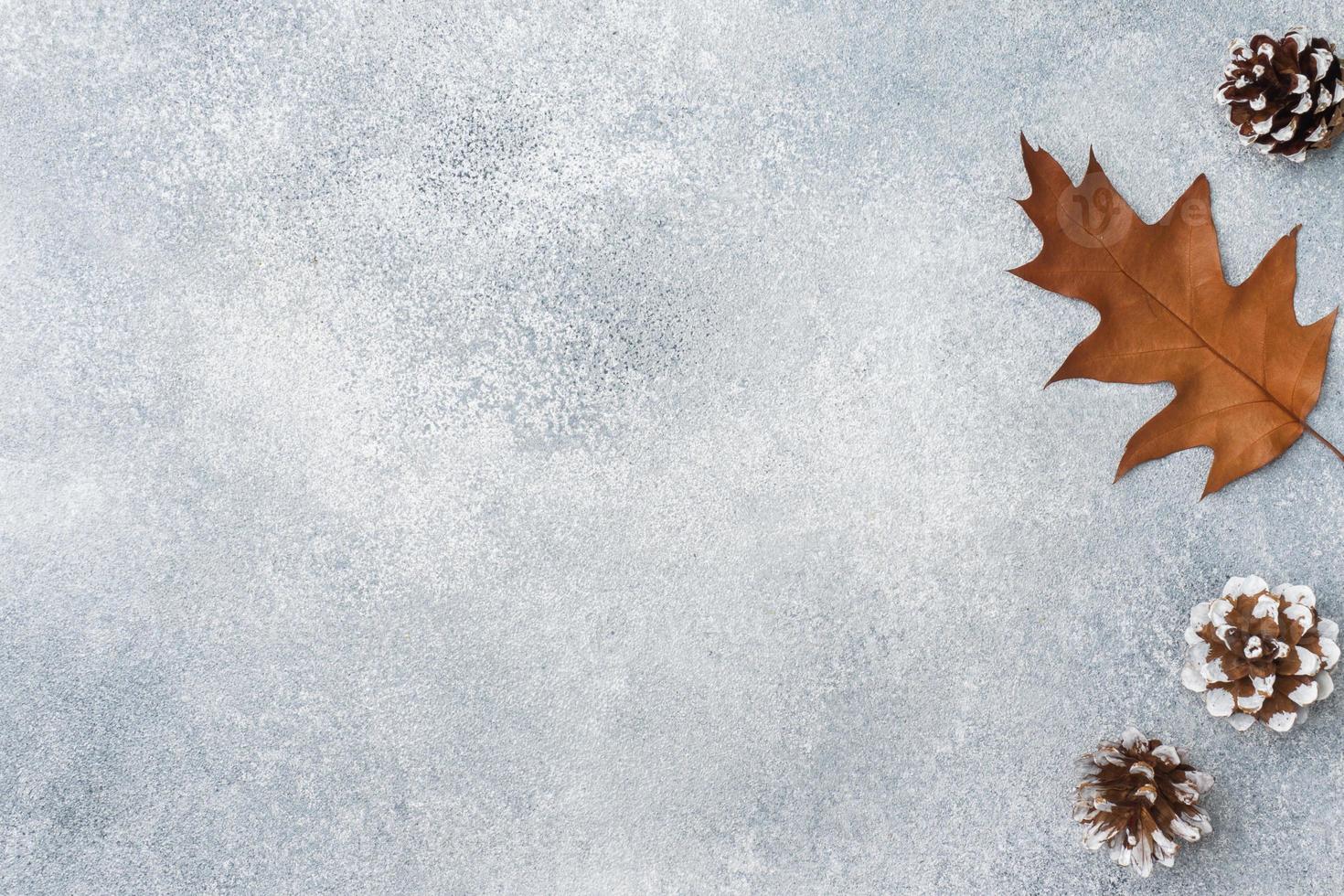 Autumn dry oak leaves on a gray background. Texture subtext. photo