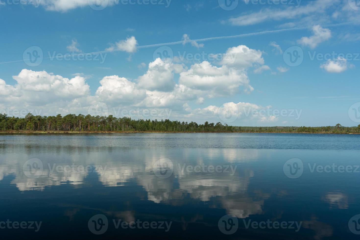 Spring in the swamp lakes photo