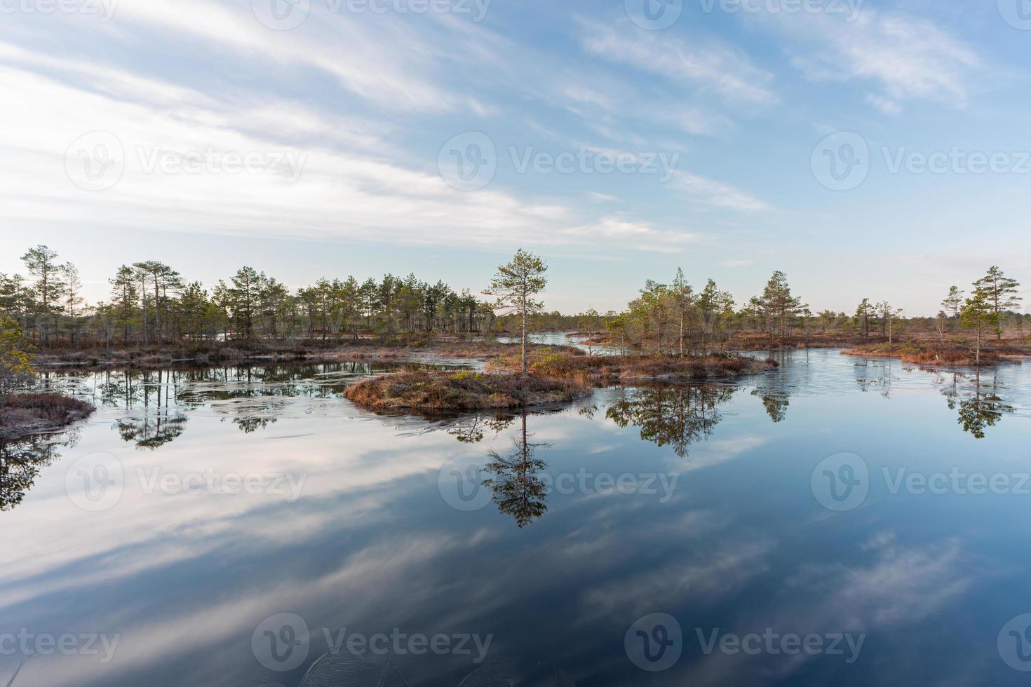 Spring in the swamp lakes photo