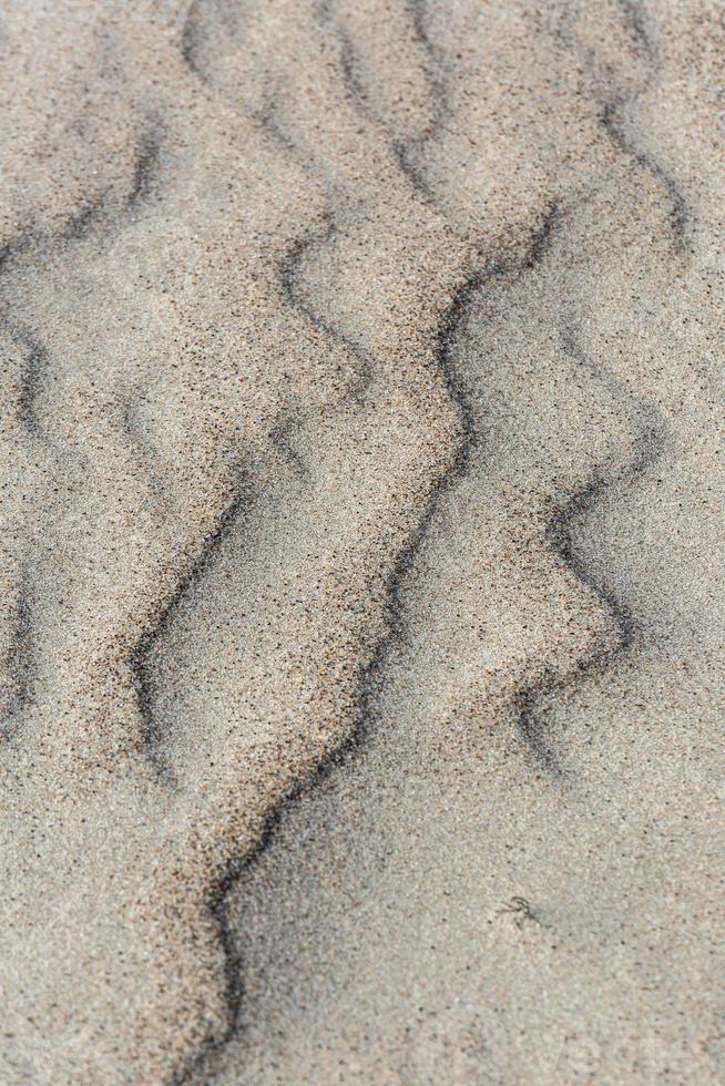 Patterns in The Beach Sand photo