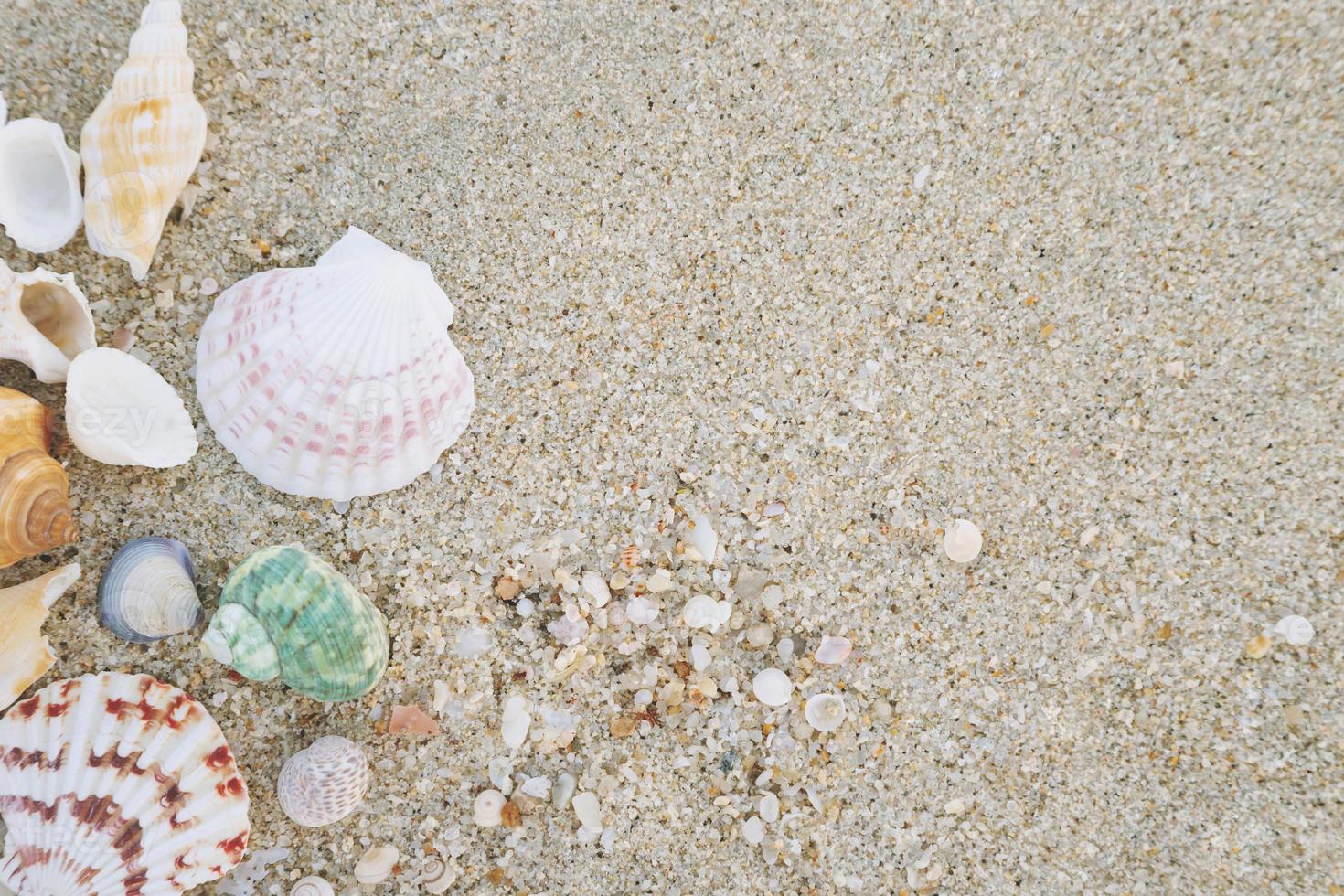 concepto de horario de verano con conchas marinas y estrellas de mar en el fondo blanco de la arena de la playa. espacio libre para la vista superior de la decoración. foto