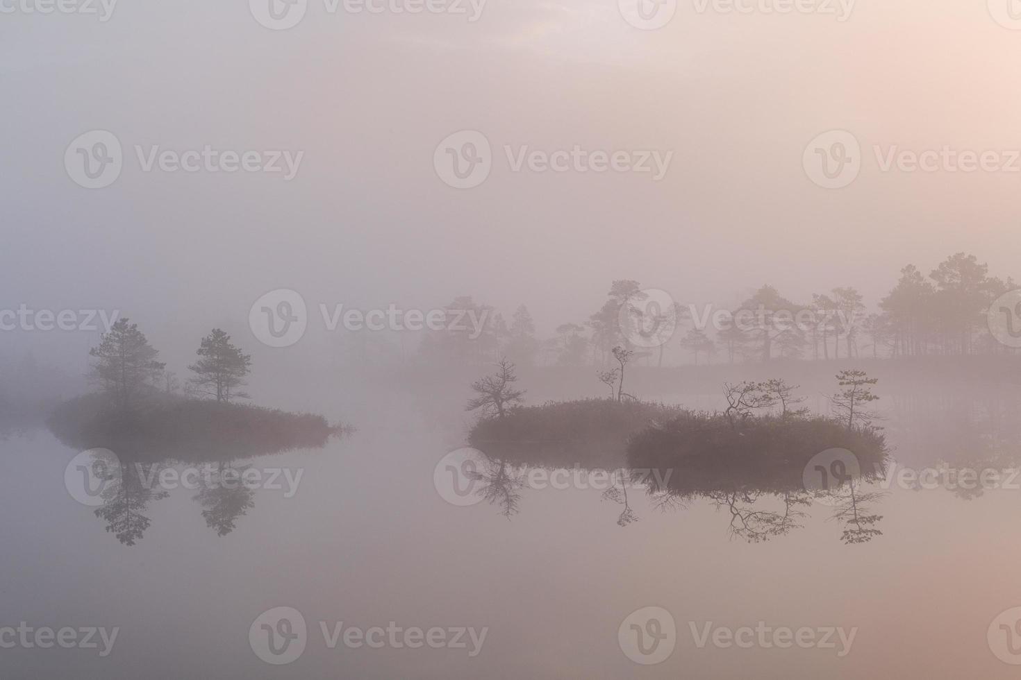Spring in the swamp lakes photo