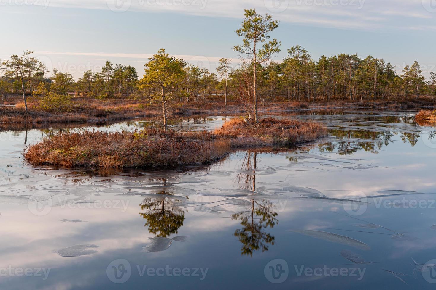 Spring in the swamp lakes photo