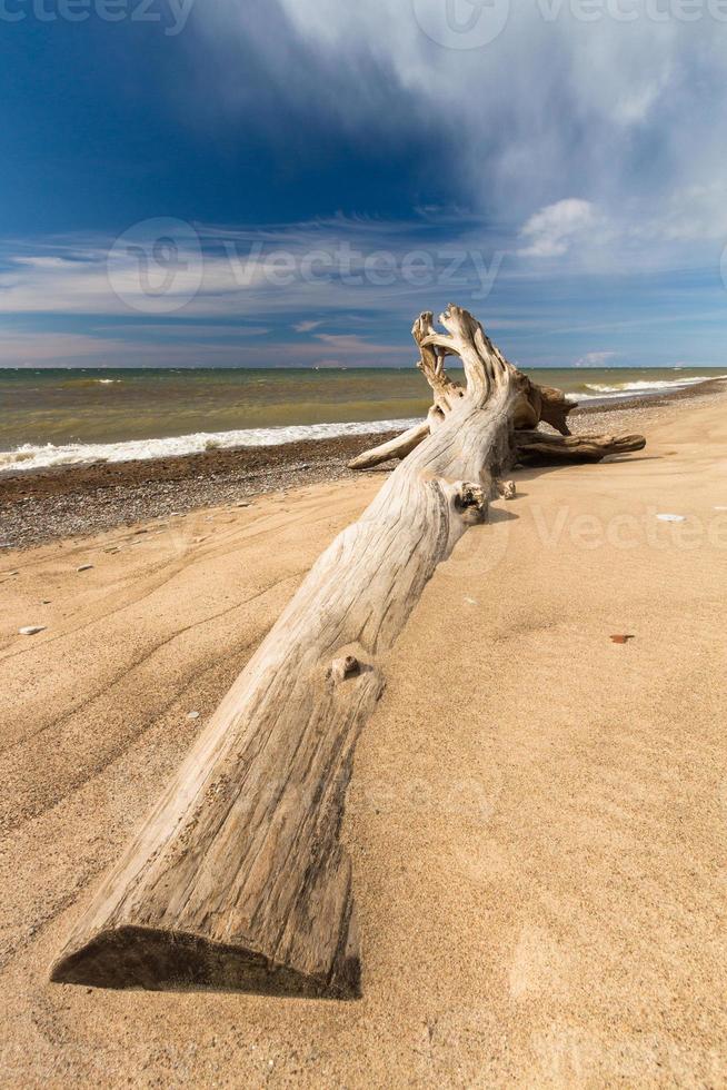 Baltic Sea Coast at Sunset photo