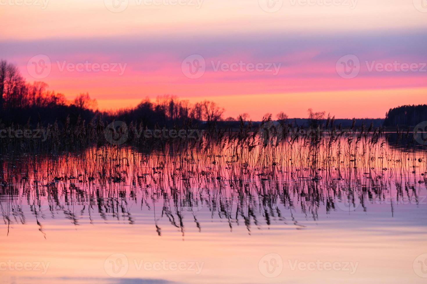 Flooded Meadows in Spring photo