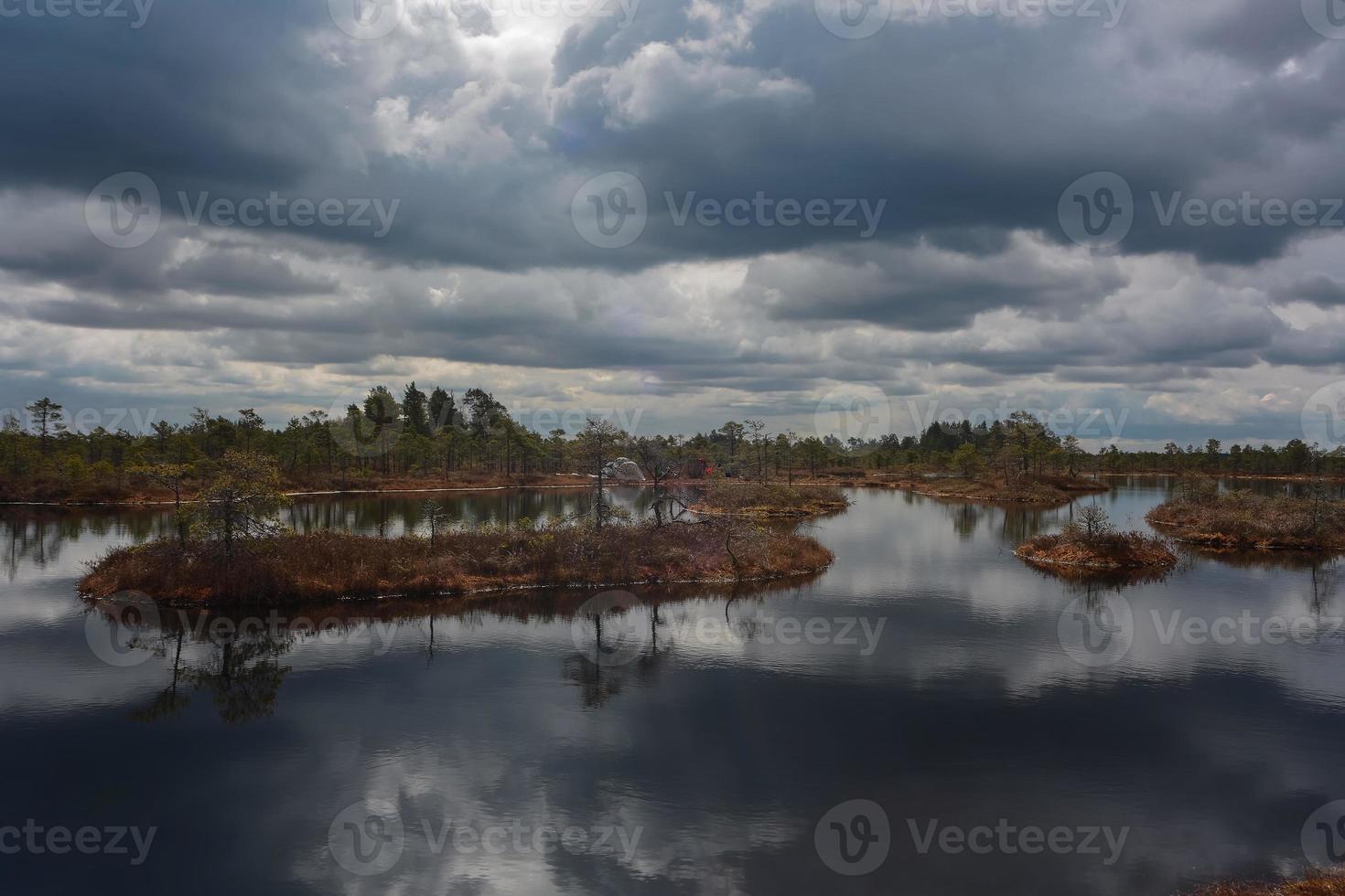 Spring in the swamp lakes photo
