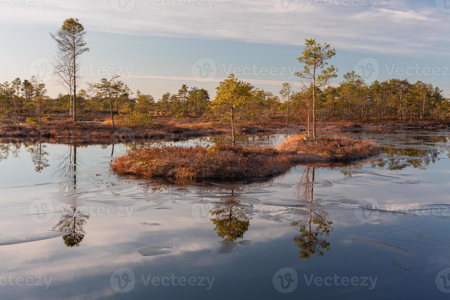 Spring in the swamp lakes photo