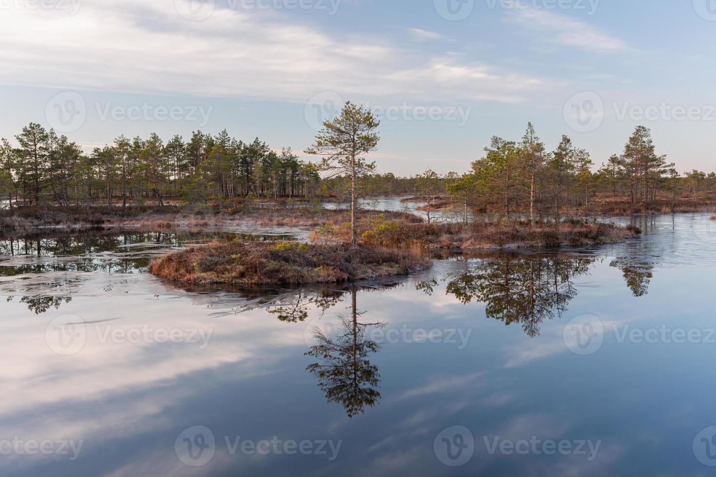 Spring in the swamp lakes photo